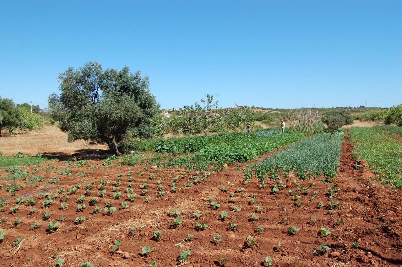 Quinta Do Maranhao Βίλα Λάγος Εξωτερικό φωτογραφία